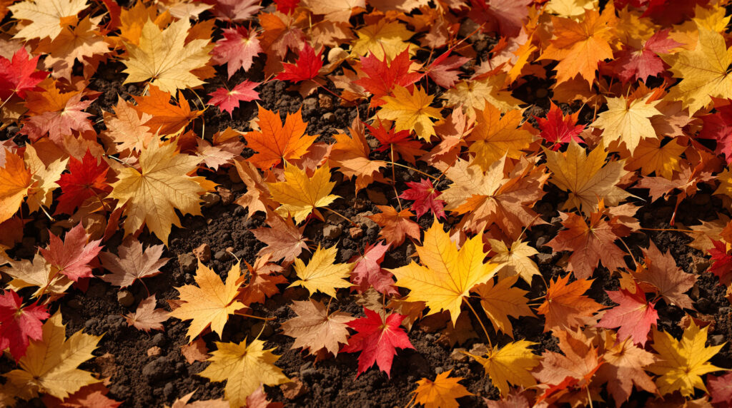 ontdek waarom het belangrijk is om afgevallen bladeren in je tuin te laten liggen en hoe ze bijdragen aan een gezonde bodem en biodiversiteit.